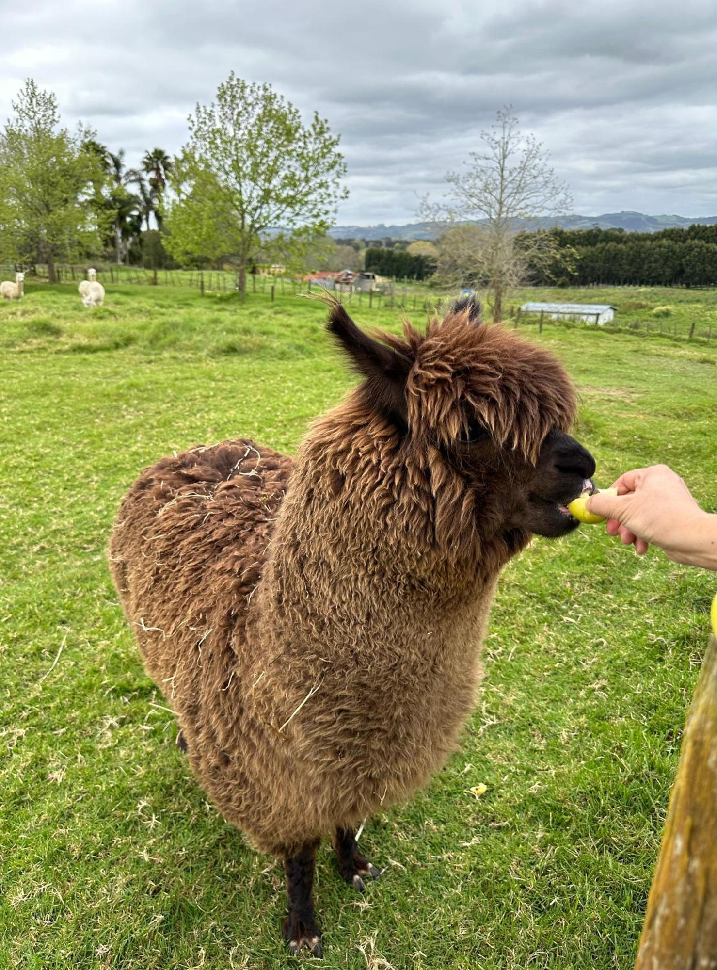 Bycroft Lodge Karaka 외부 사진